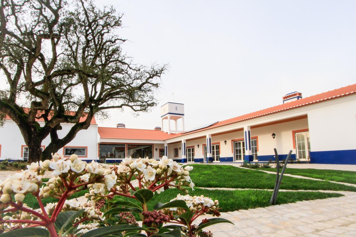 Quinta Da Torre - Casas De Campo Bed and Breakfast Alenquer Eksteriør billede